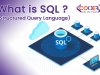 What Is SQL ? Structured Query Language