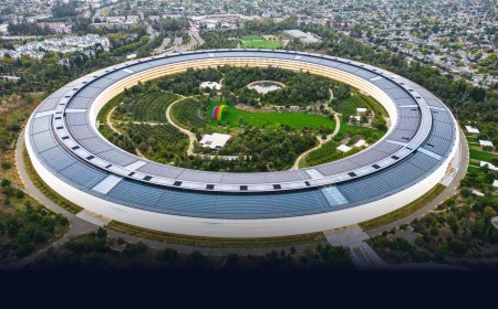 Tim Cook Steps Down as Apple CEO; John Ternus Takes Over