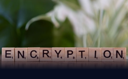 DPDP Act Explained: What India's Data Privacy Law Means for You
