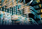 What Is a DDoS Attack, and How Does It Take a Website Down?