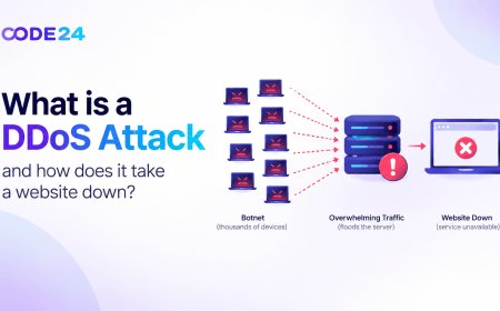 What Is a DDoS Attack, and How Does It Take a Website Down?