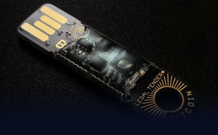 Hot Wallet vs Cold Wallet: Which One Keeps Your Crypto Safe?