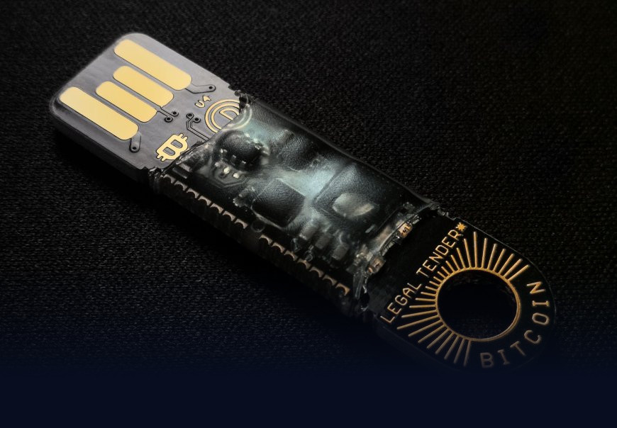 Hot Wallet vs Cold Wallet: Which One Keeps Your Crypto Safe?